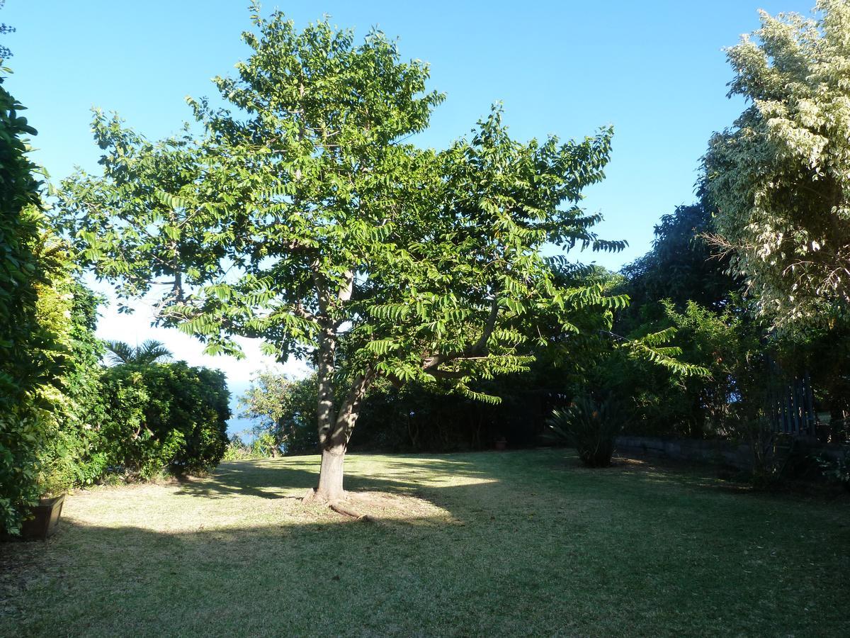 Villa Flamboyant Le Portail 外观 照片